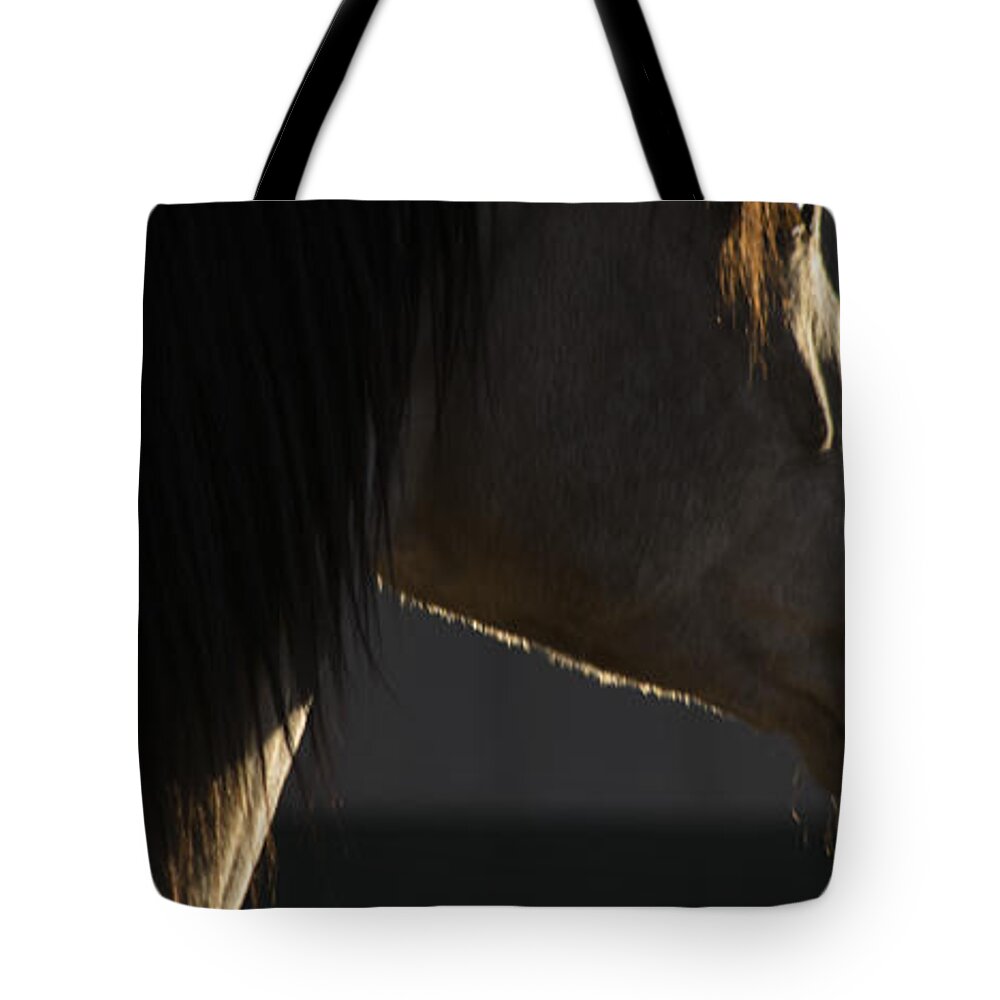 Andalusia Tote Bag featuring the photograph Tupelo by Catherine Sobredo
