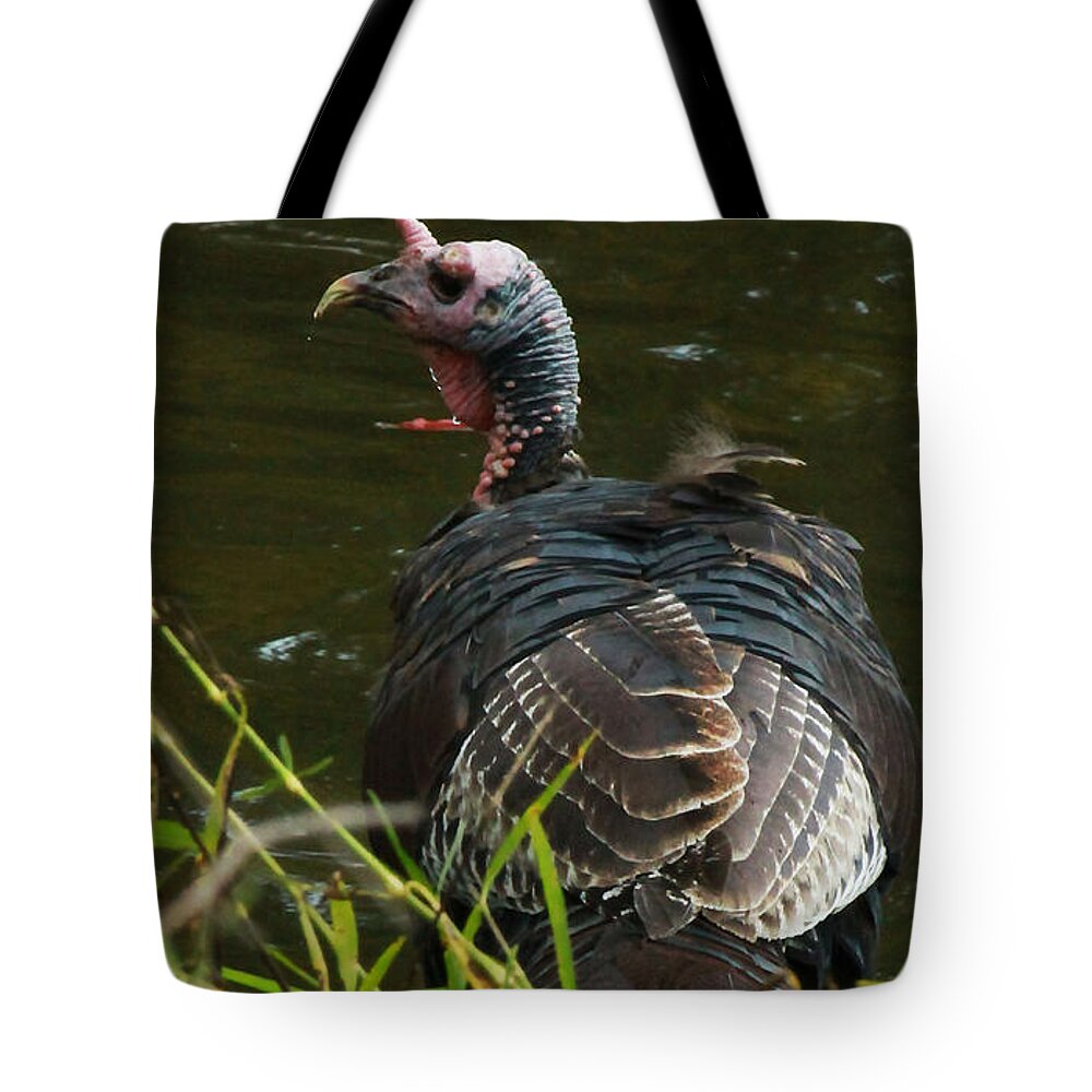 Wild Turkey Tote Bag featuring the photograph Turkey at Lake by Jeff Kurtz