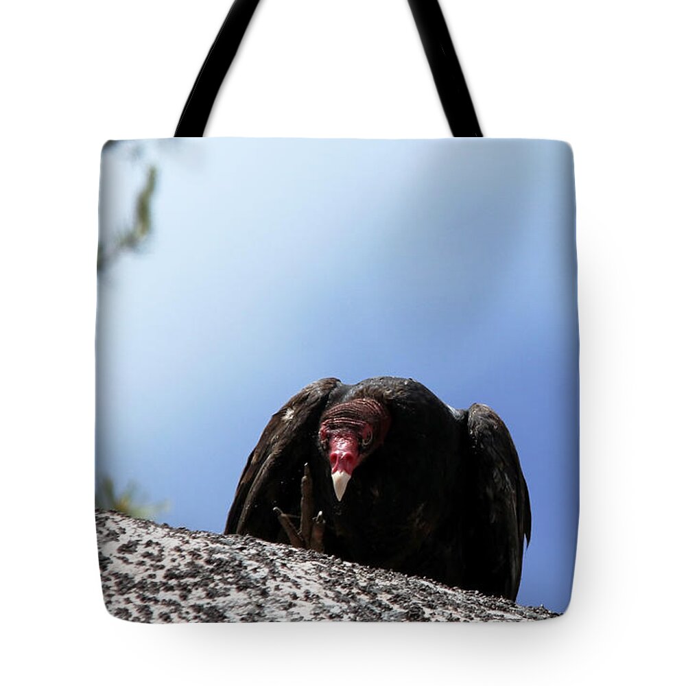 Vulture Tote Bag featuring the photograph Turkey Vulture Attitude by Debbie Oppermann