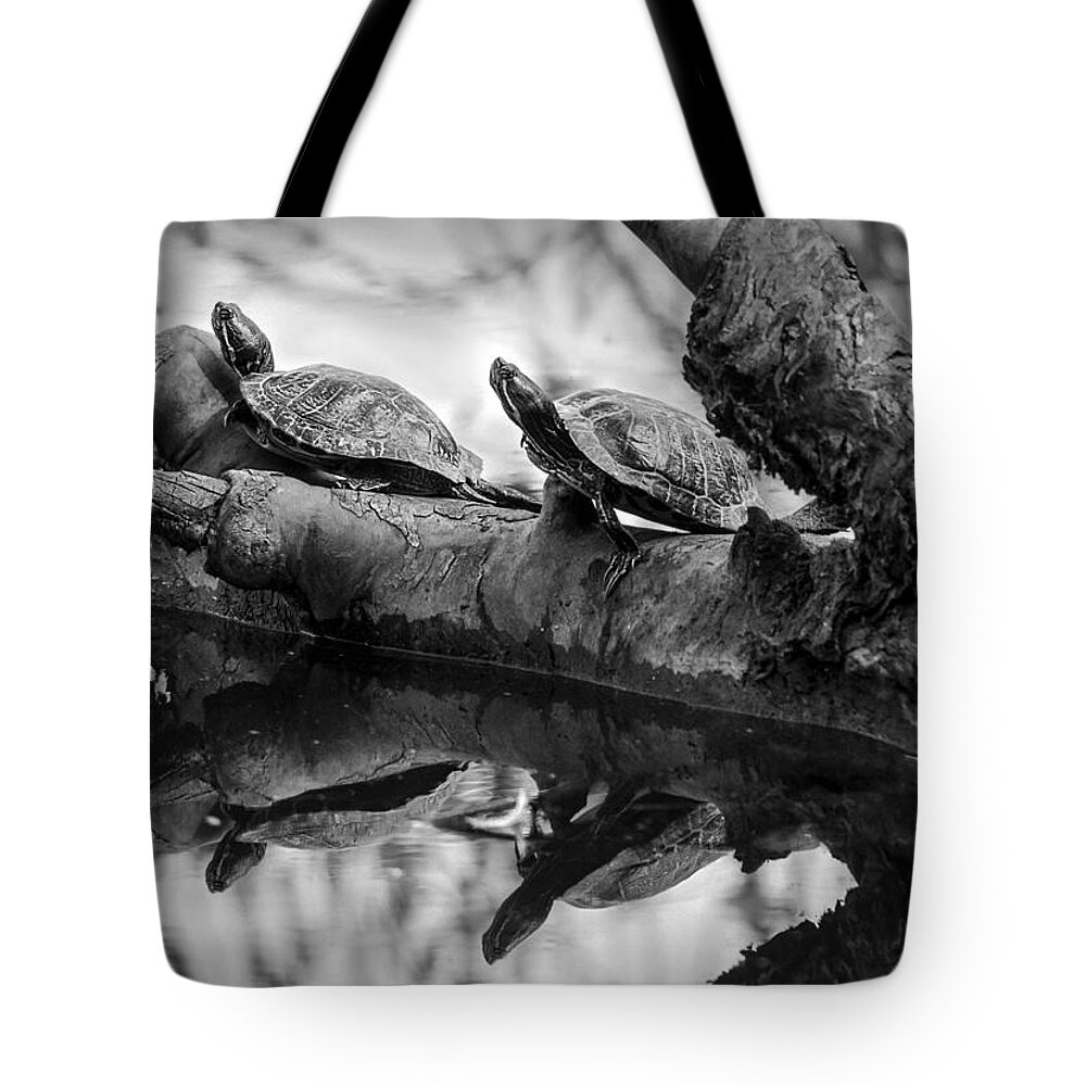 Turtles Tote Bag featuring the photograph Turtle BFFs BW By Denise Dube by Denise Dube