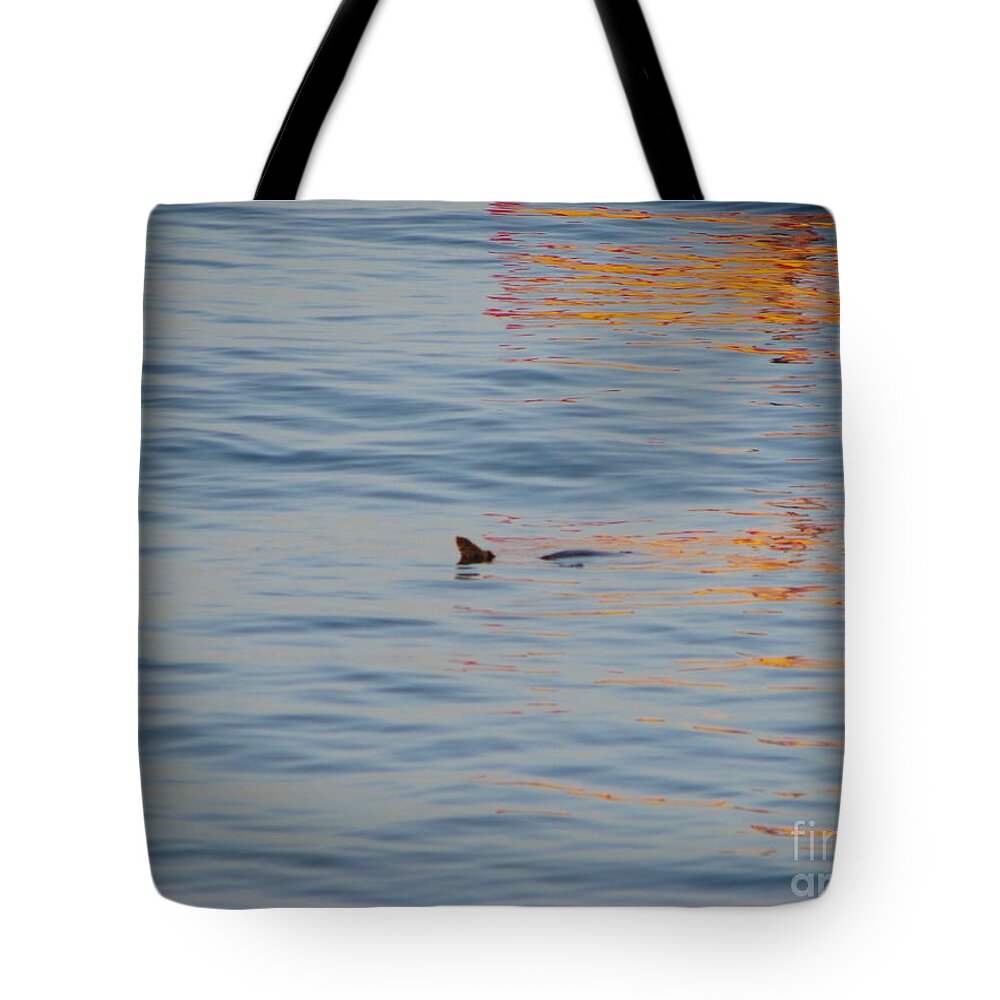 Maui Tote Bag featuring the photograph Turtle by Michael Krek