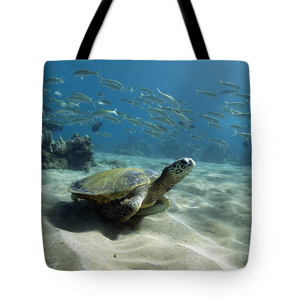 Green Tote Bag featuring the photograph Turtle Town Maui by David Olsen