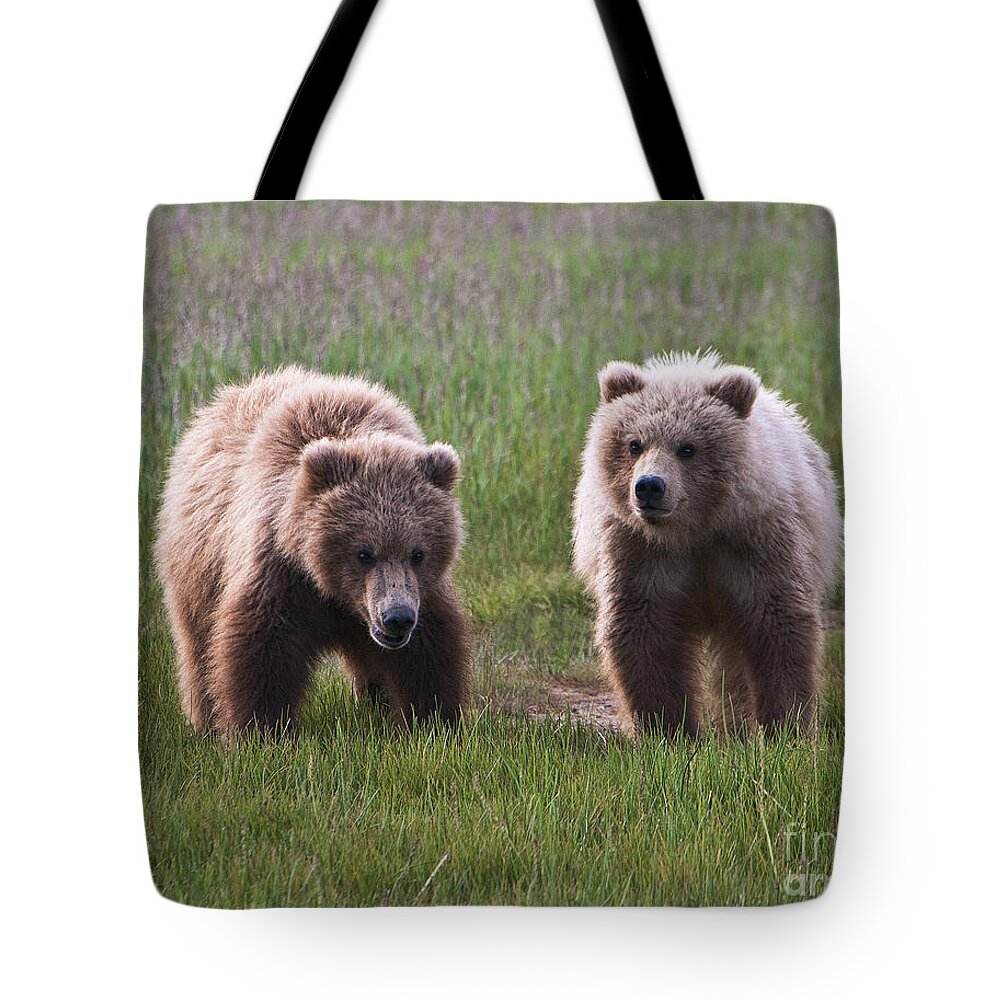 Twin Bear Cubs Tote Bag featuring the photograph Twin Bear Cubs by Phyllis Taylor