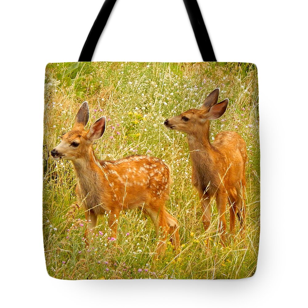 Photo Tote Bag featuring the photograph Twin Fawns by Dan Miller
