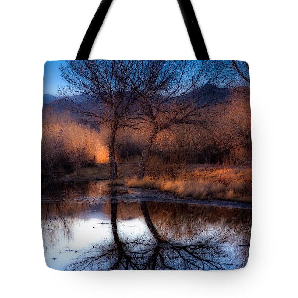 Bosque Del Apache Tote Bag featuring the photograph Twin Trees by Kristal Kraft