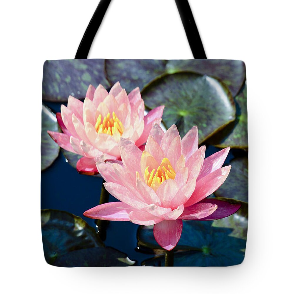 Water Lillies Tote Bag featuring the photograph Two Pink Waterlilies by Crystal Wightman