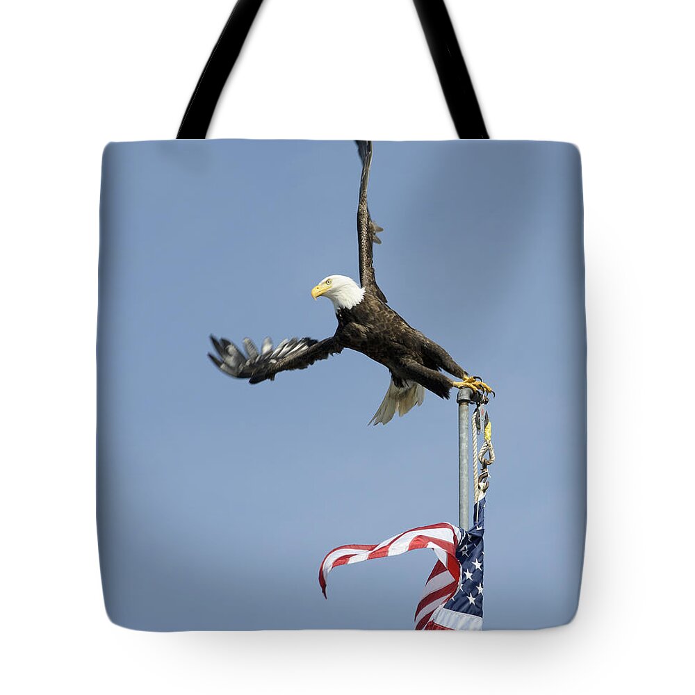 Eagle Tote Bag featuring the photograph Twisted Take-Off by Bob VonDrachek