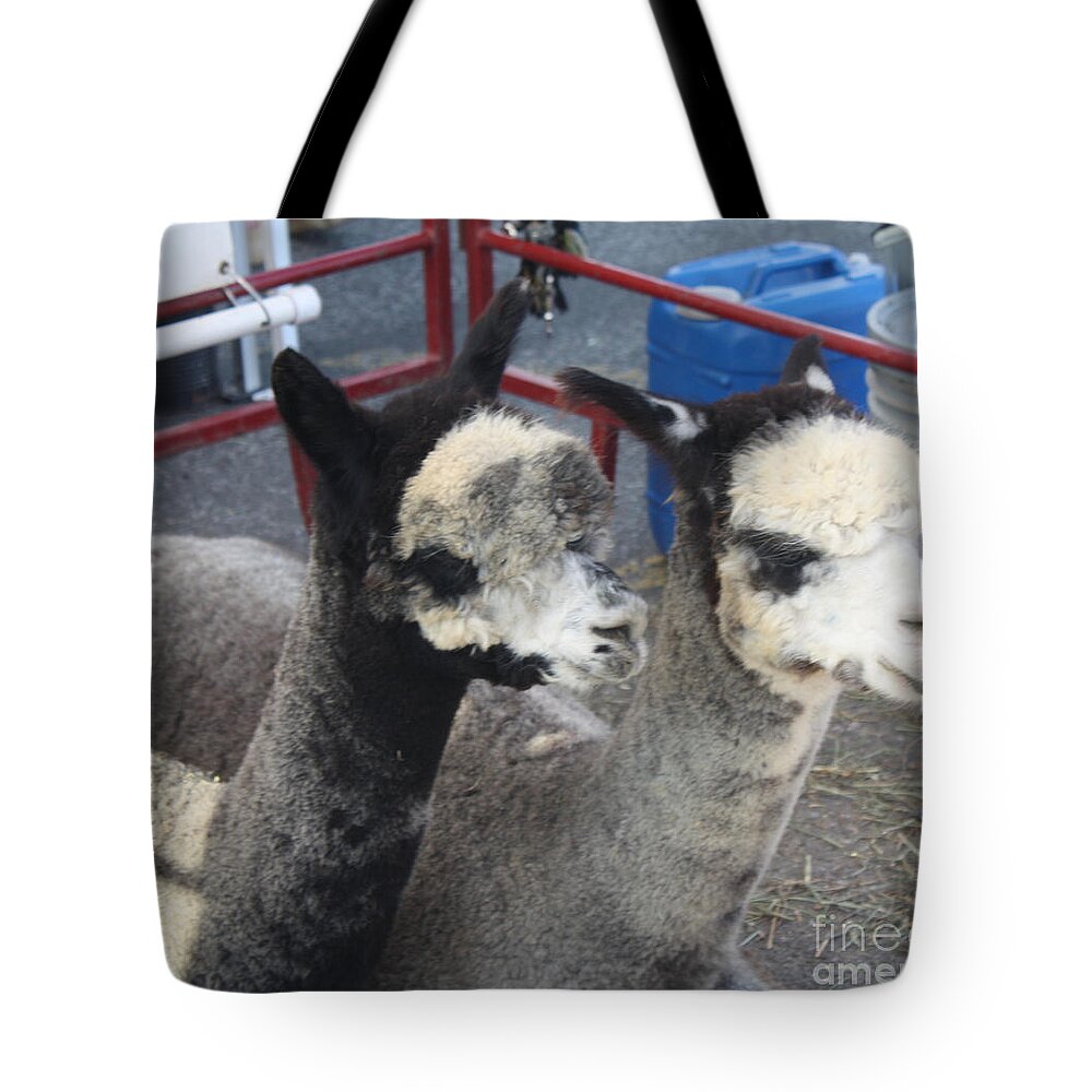 Two Alpacas Tote Bag featuring the photograph Two Alpacas by John Telfer