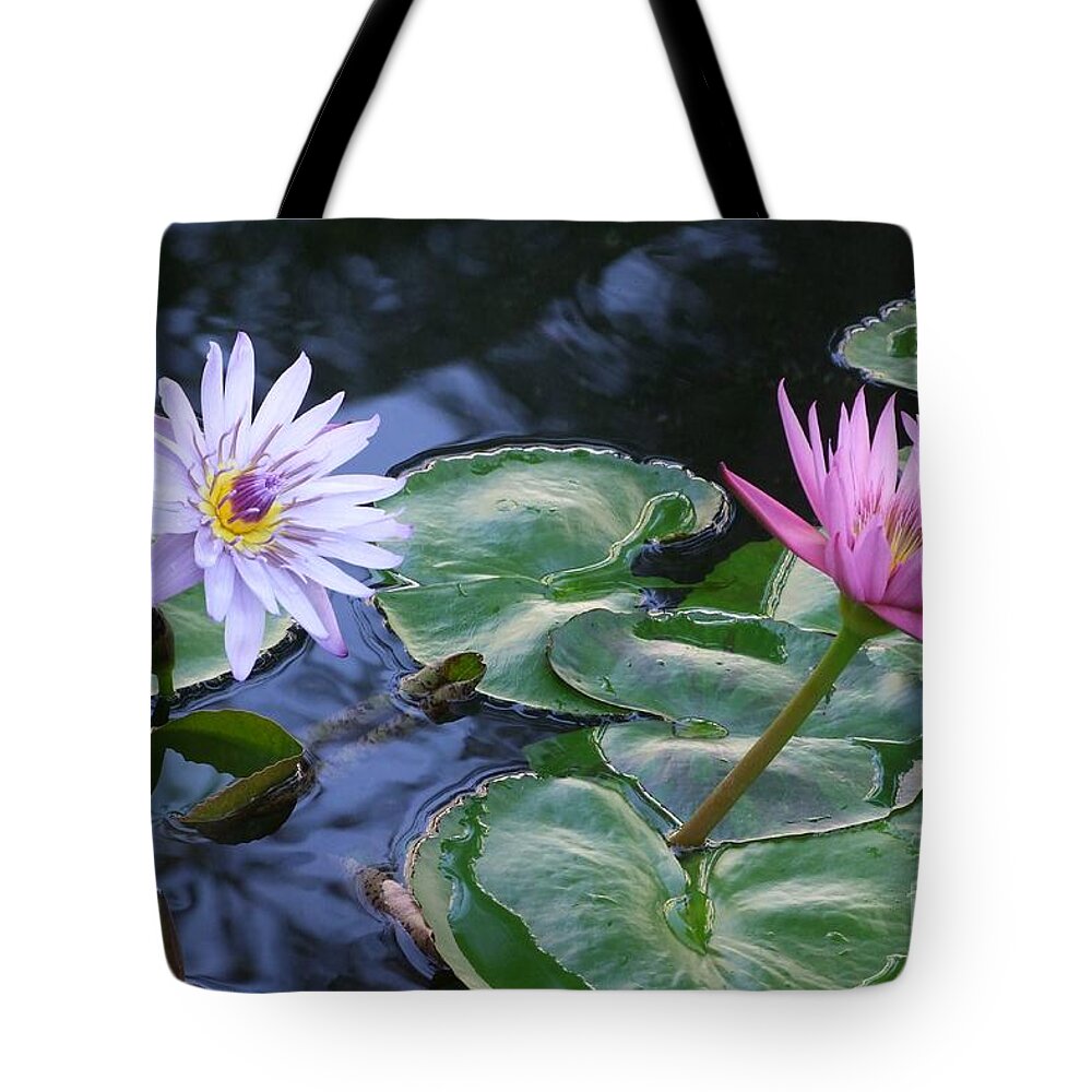 Water Lily Tote Bag featuring the photograph Two Beauties by Mary Deal