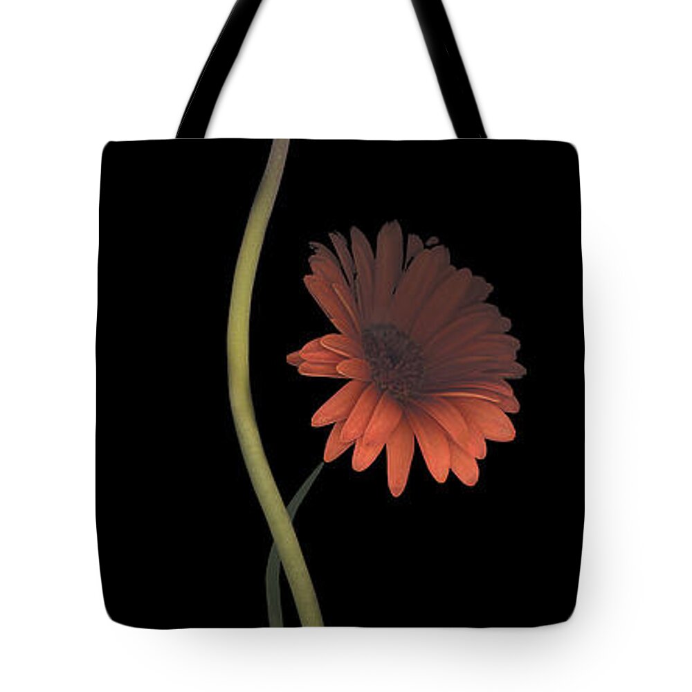 Daisy Tote Bag featuring the photograph Two Daisies Tall RIGHT by Heather Kirk