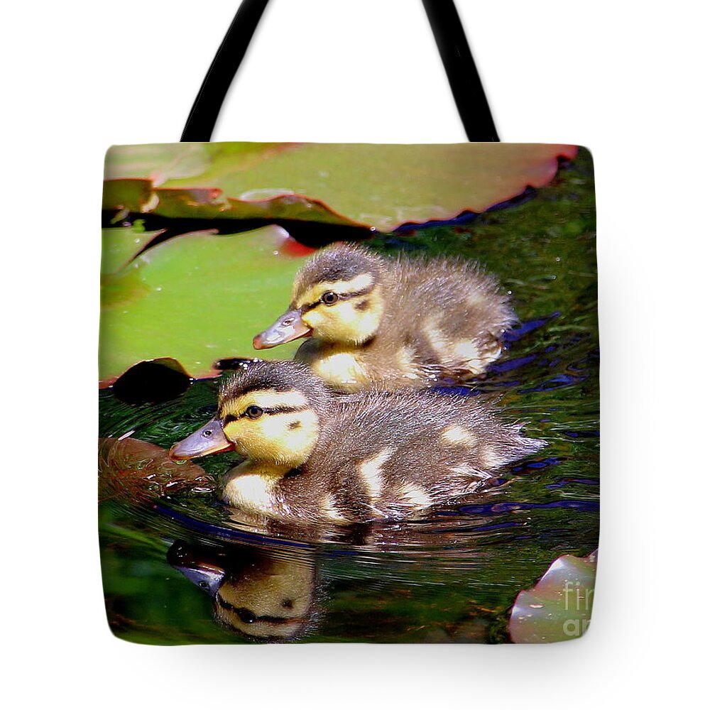 Ducklings Tote Bag featuring the photograph Two Ducklings by Amanda Mohler