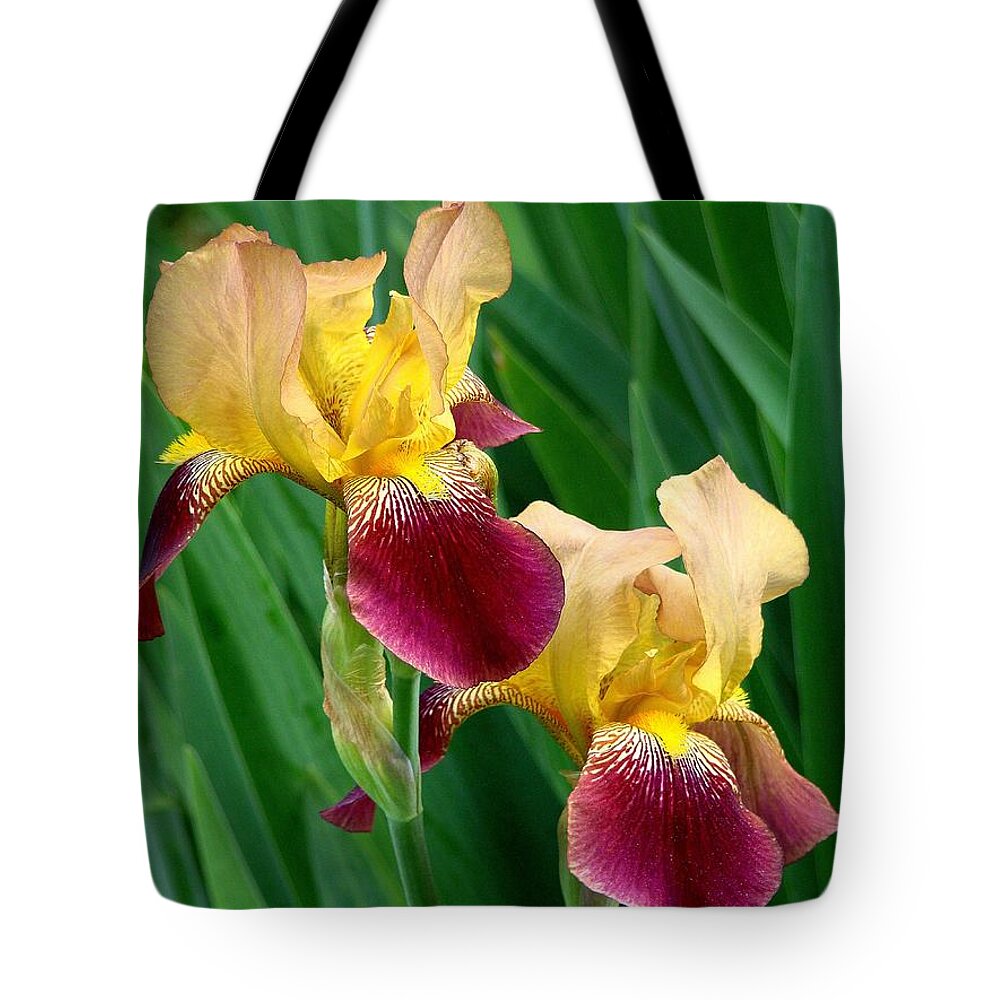 Fine Art Tote Bag featuring the photograph Two Iris by Rodney Lee Williams