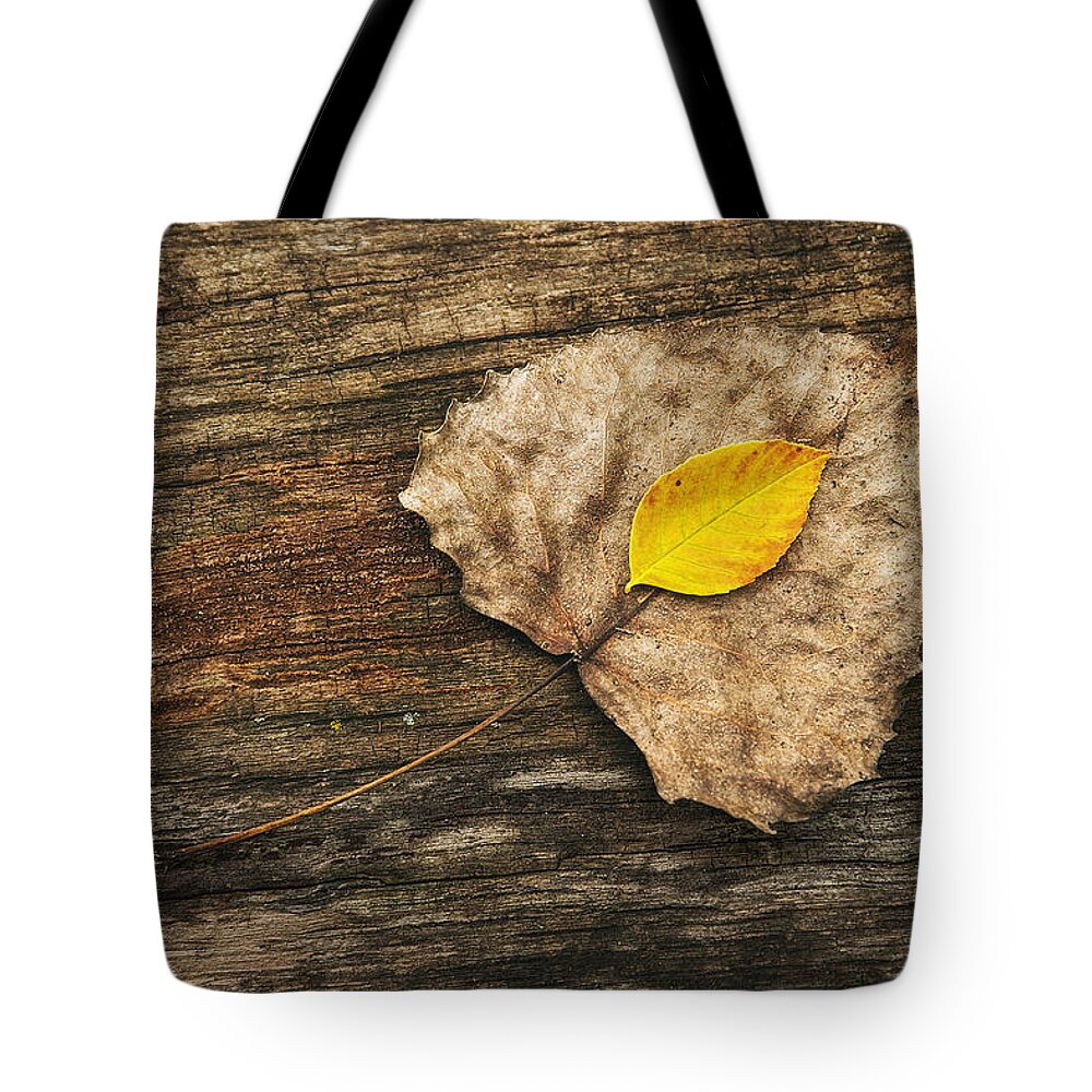 Leaf Tote Bag featuring the photograph Two Leaves by Scott Norris