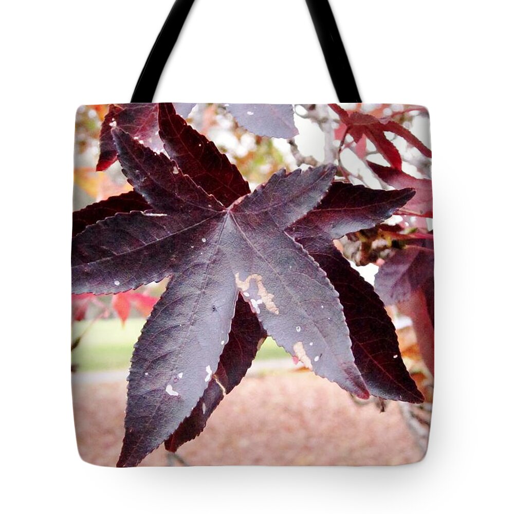 Leaves Tote Bag featuring the photograph Two of a Kind by Cynthia Clark