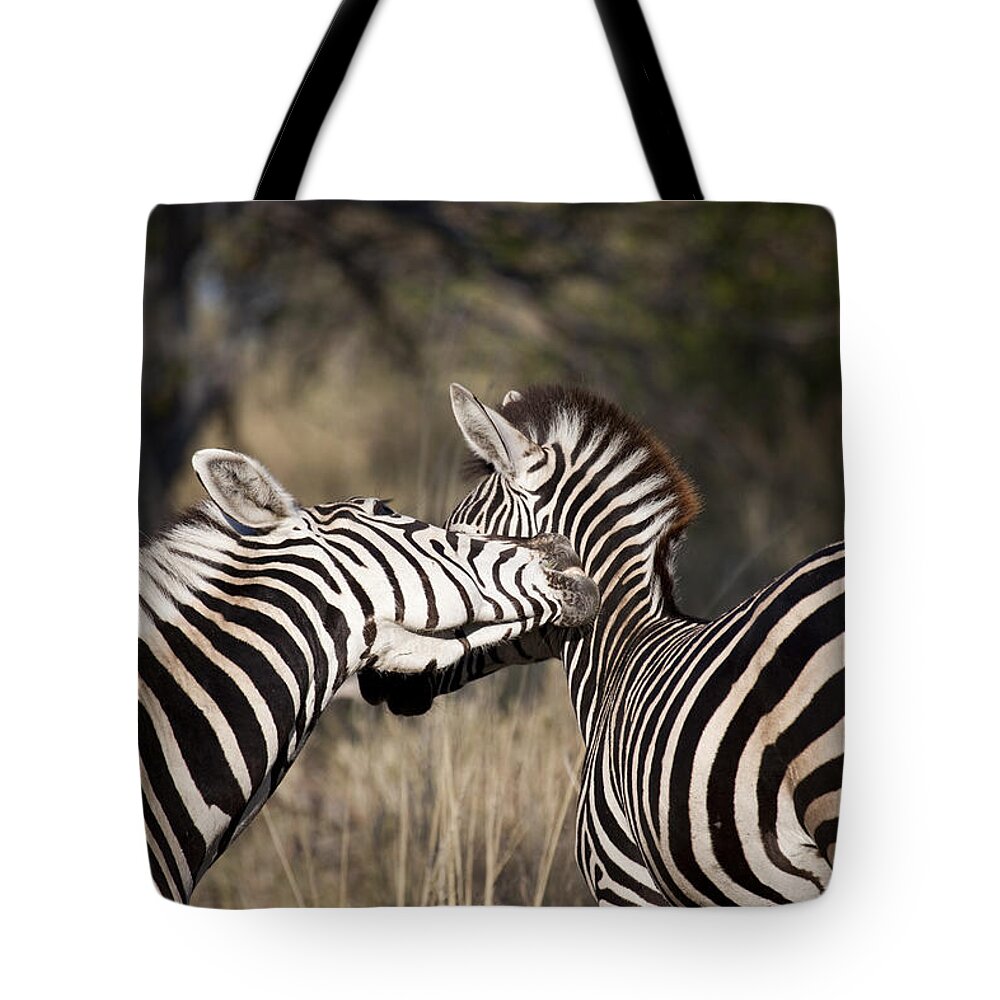 Burchell's Zebra Tote Bag featuring the photograph Two Plains Zebra Botswana by Liz Leyden