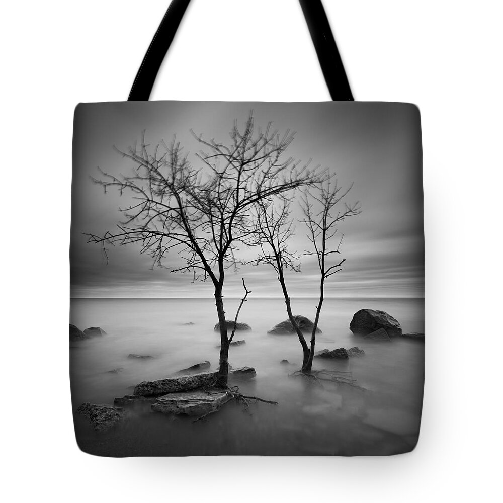 Rocky Point Lake Michigan Wisconsin Long Exposure Trees Tote Bag featuring the photograph Two Trees Walking by Josh Eral
