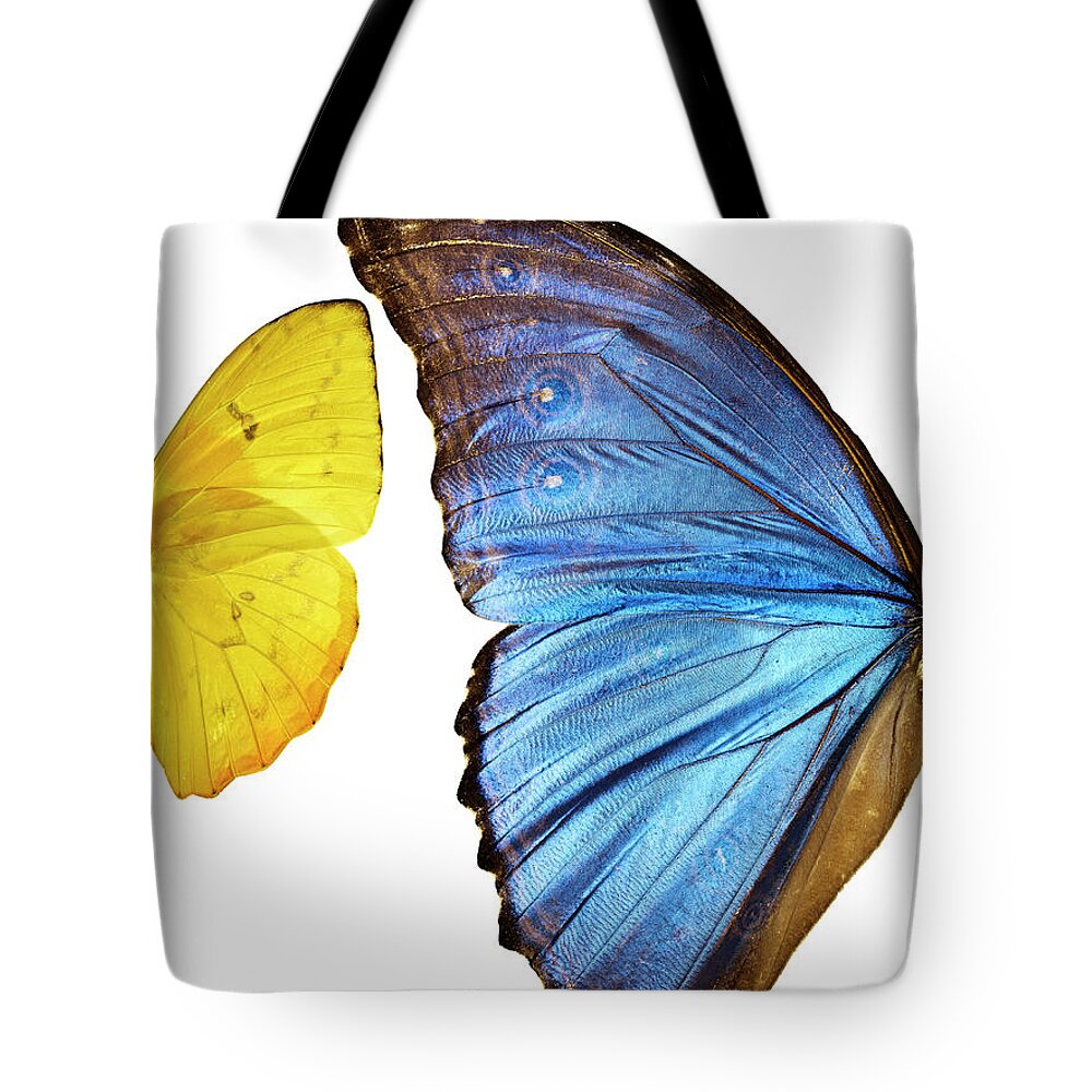 White Background Tote Bag featuring the photograph Two Types Of Butterfliesside By Side by Ballyscanlon