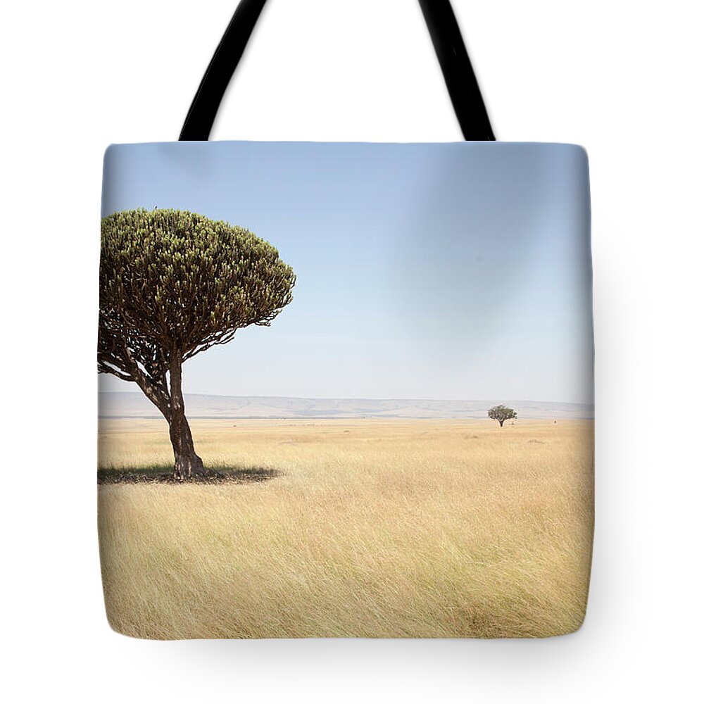 Kenya Tote Bag featuring the photograph Typical Landscape, Masai Mara National by Angelika