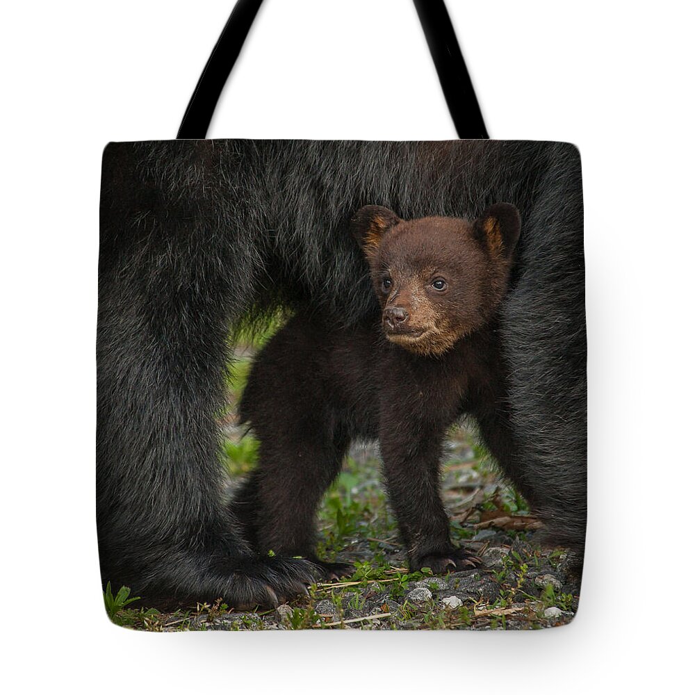 Asheville Tote Bag featuring the photograph Under Mom by Joye Ardyn Durham