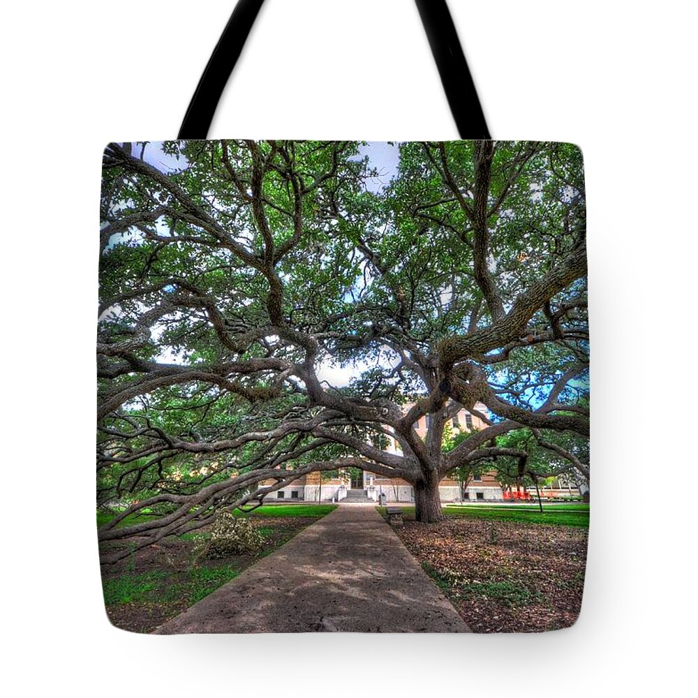 Century Tree Tote Bag featuring the photograph Under the Century Tree by David Morefield