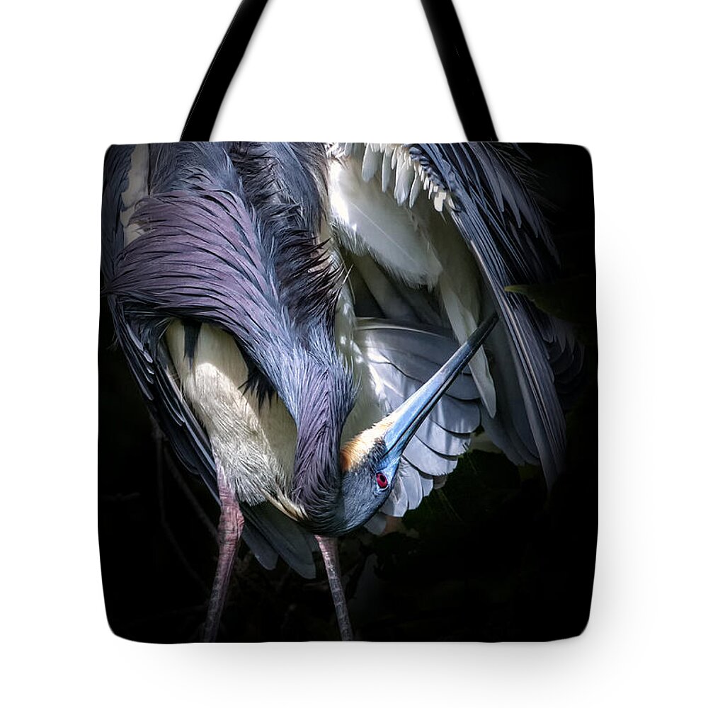Tricolored Heron Tote Bag featuring the photograph Under the Hood by Ghostwinds Photography