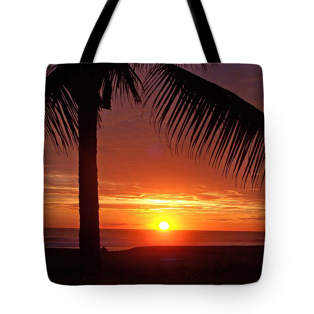 Sunset Tote Bag featuring the photograph Under the Palm Tree by Jennifer Robin