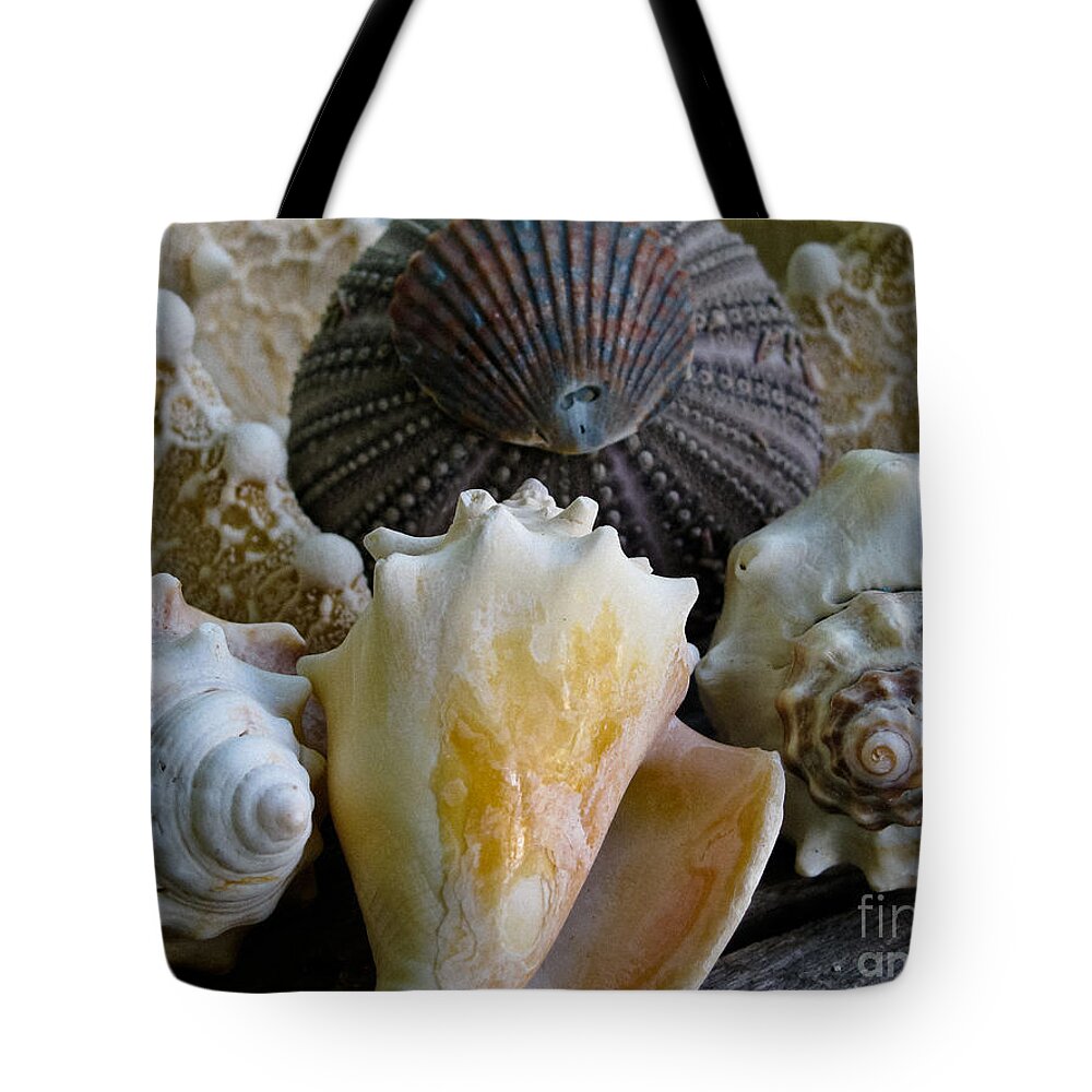 Conch Shells Tote Bag featuring the photograph Under the Sea by Colleen Kammerer