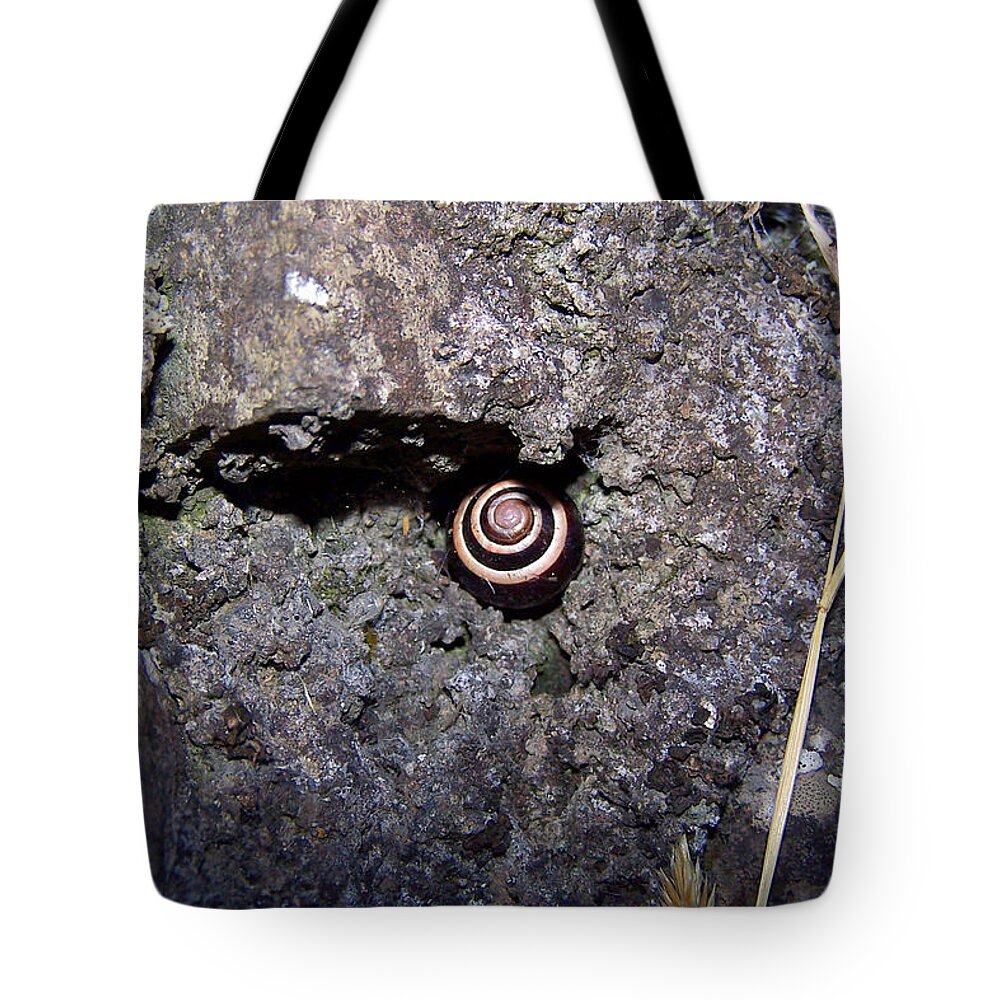 Snail Tote Bag featuring the photograph Undercover Snail by Lisa Blake