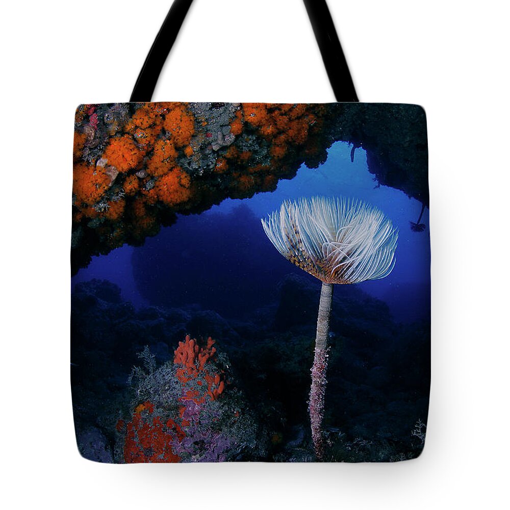 Underwater Tote Bag featuring the photograph Underwater Cave by 548901005677