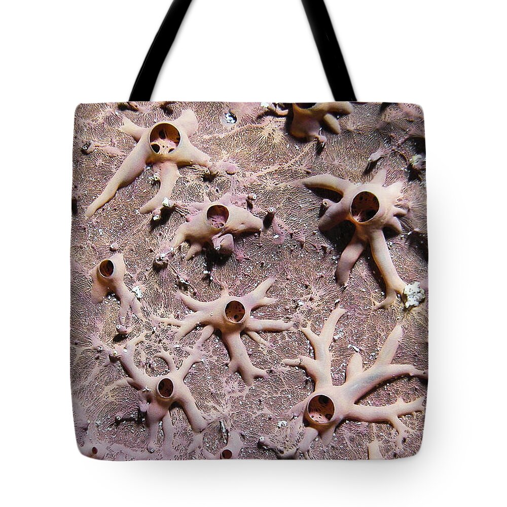 Underwater Tote Bag featuring the photograph Underwater Mystery by Jean Noren