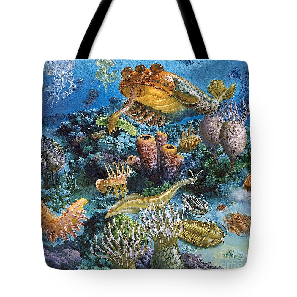 Illustration Tote Bag featuring the photograph Underwater Paleozoic Landscape by Publiphoto