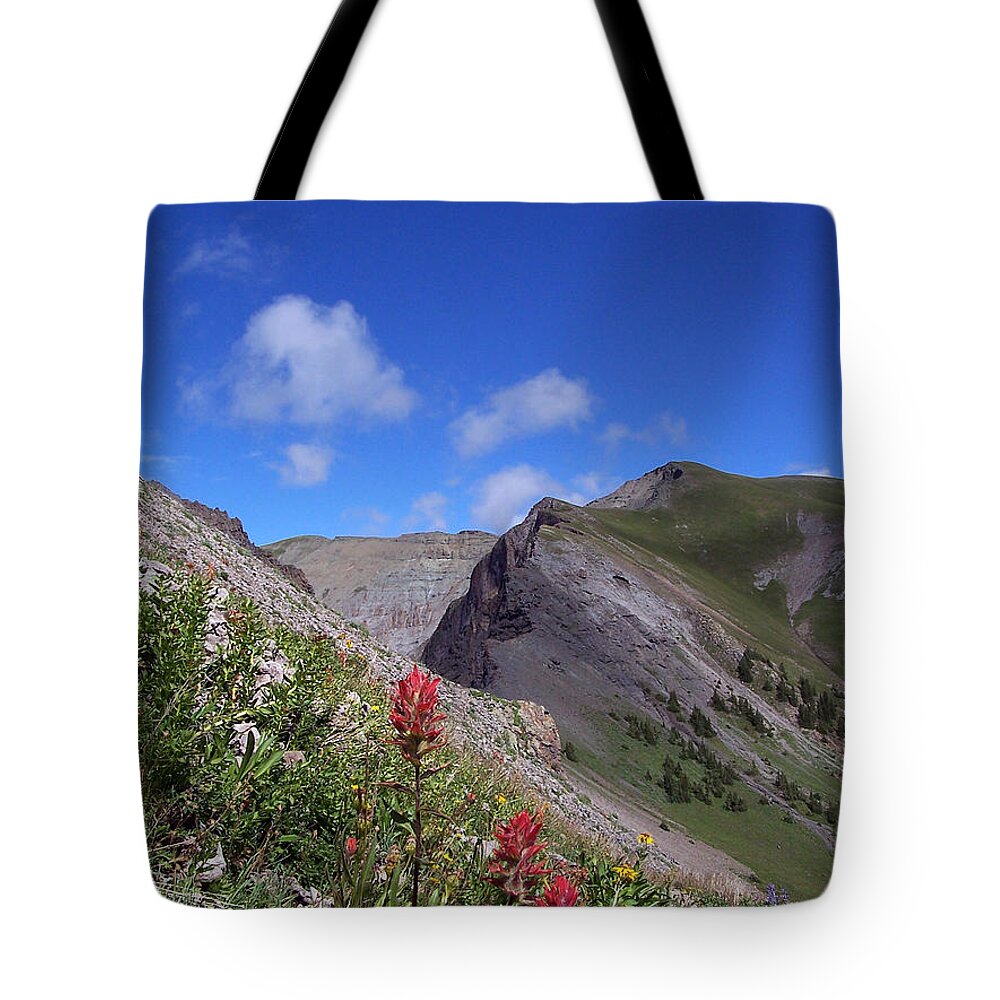 Bridge To Heaven Trail Tote Bag featuring the photograph Unexpected - Jennifer Robin by Jennifer Robin