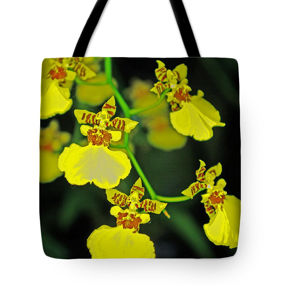 Orchids Tote Bag featuring the photograph unnamed hybrid Orchid by Rich Walter