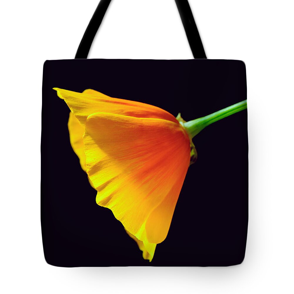 Mexican Gold Poppy Tote Bag featuring the photograph Mexican Gold Poppy by Tamara Becker
