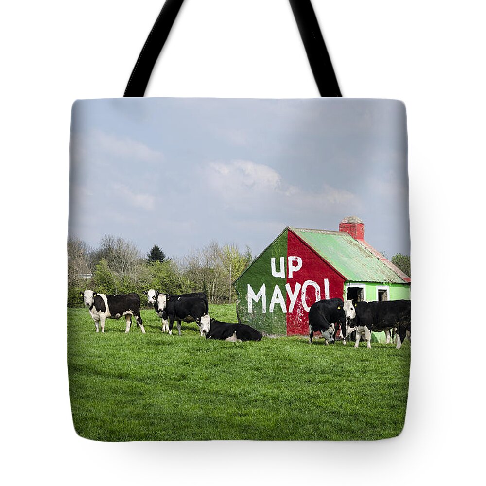 Mayo Tote Bag featuring the photograph Up Mayo by Bill Cannon
