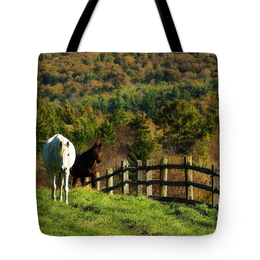 Flatlandsfoto Tote Bag featuring the photograph Up The Hill by Joan Davis