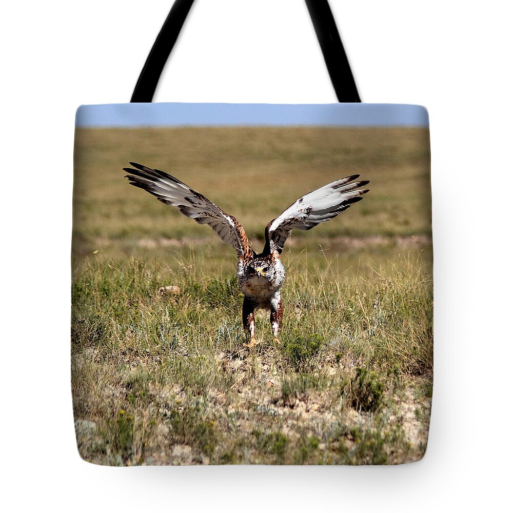 Hawk Tote Bag featuring the photograph Up Up And Away by Shane Bechler