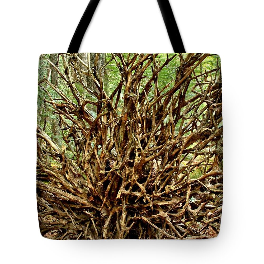 Trail Of The Cedars Tote Bag featuring the photograph Uprooted by Adam Jewell