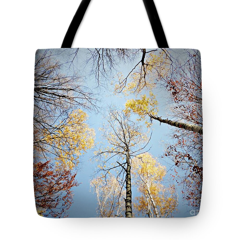 Birches Tote Bag featuring the photograph Upside down autumn by Amalia Suruceanu