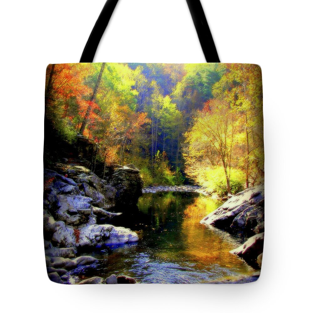 Smokey Mountains Tote Bag featuring the photograph Upstream by Karen Wiles