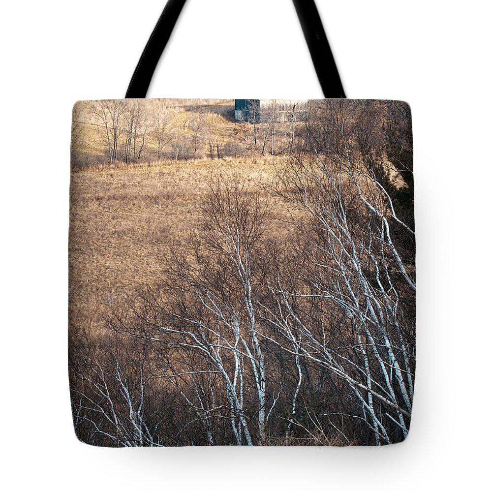 Landscape Tote Bag featuring the photograph Valley View by Roger Bailey