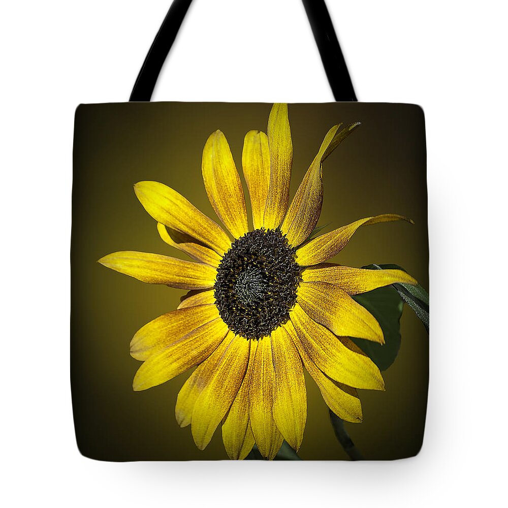 Sunflower Tote Bag featuring the photograph Velvet Queen Sunflower by Jatin Thakkar