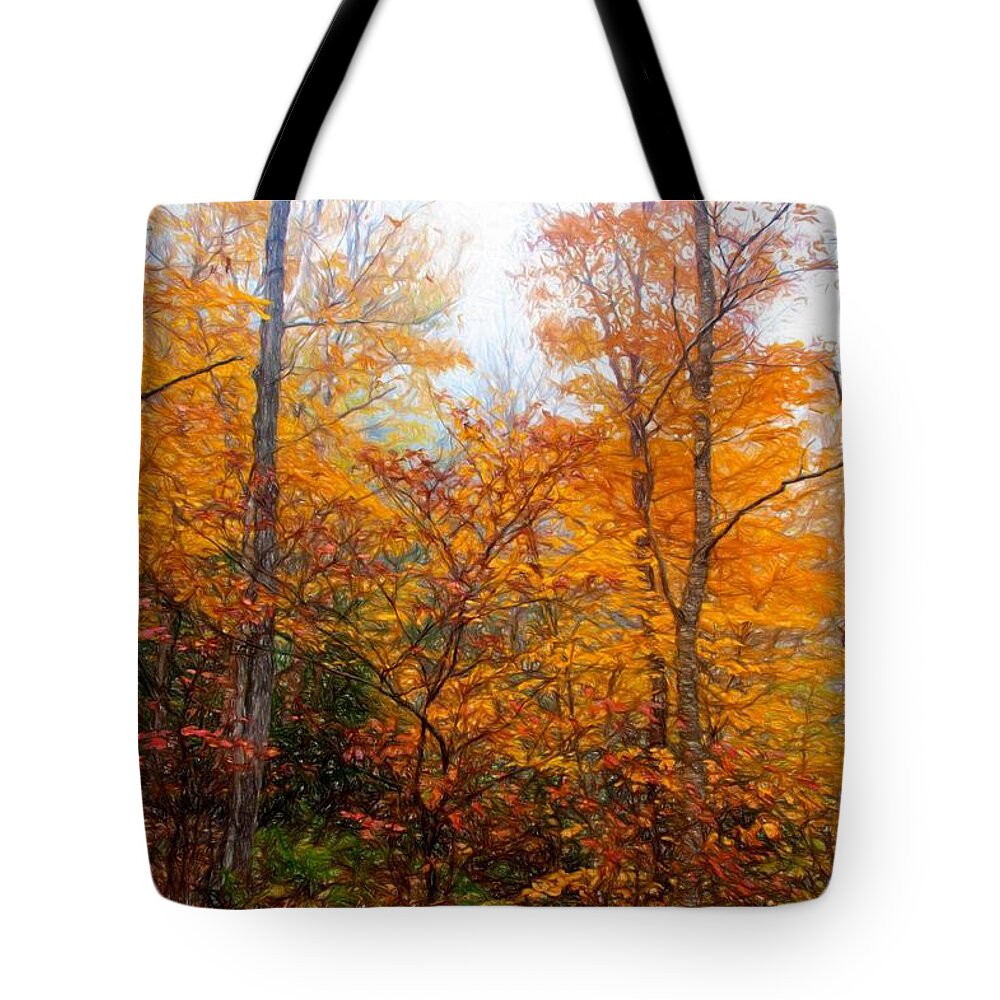 Autumn Tote Bag featuring the photograph Vermont by Bill Howard