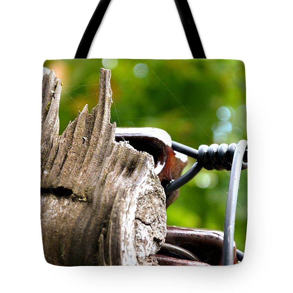 Abstract Tote Bag featuring the photograph Veteran Timber by Laureen Murtha Menzl