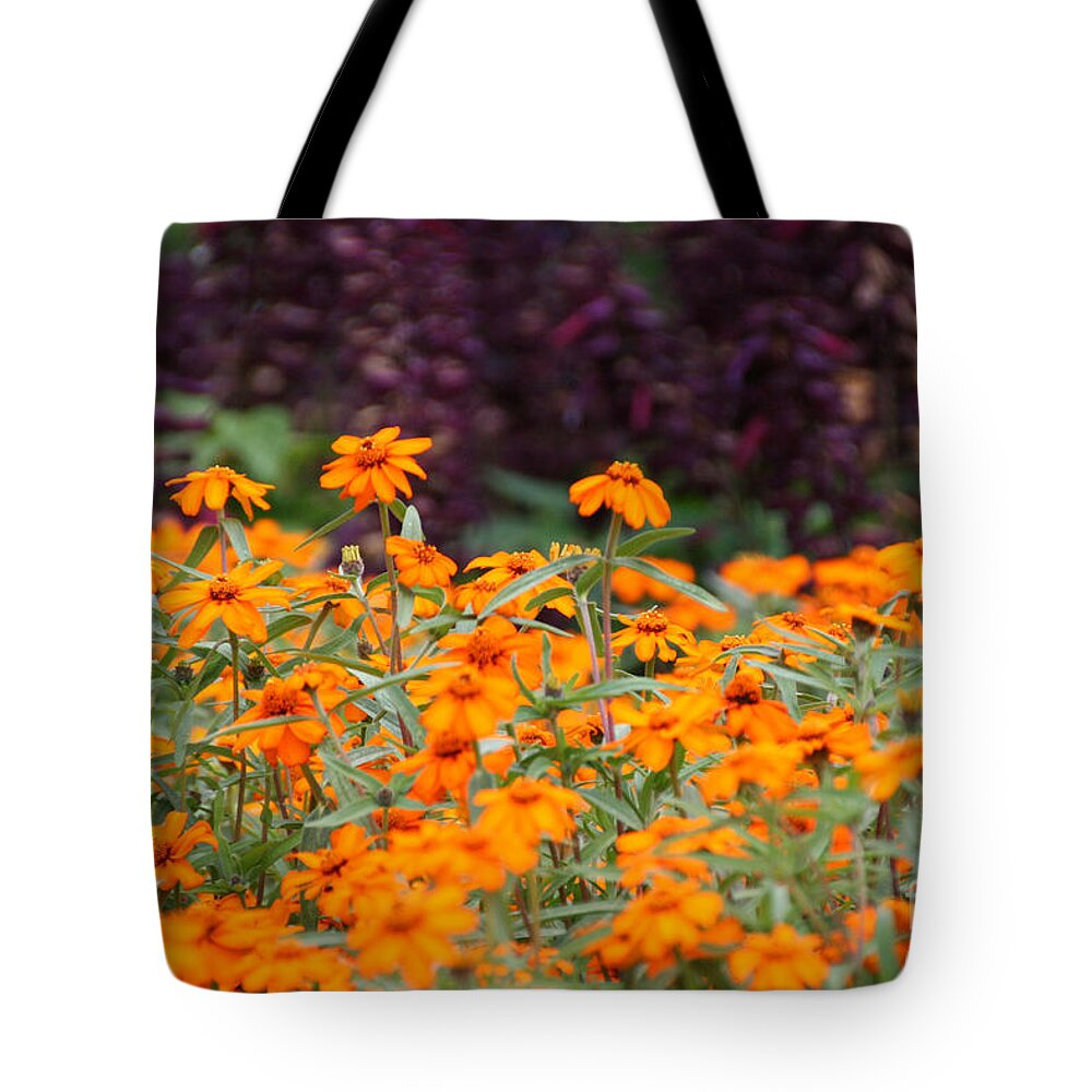 Flower Tote Bag featuring the photograph Vibrant Zinnias by Susan Herber