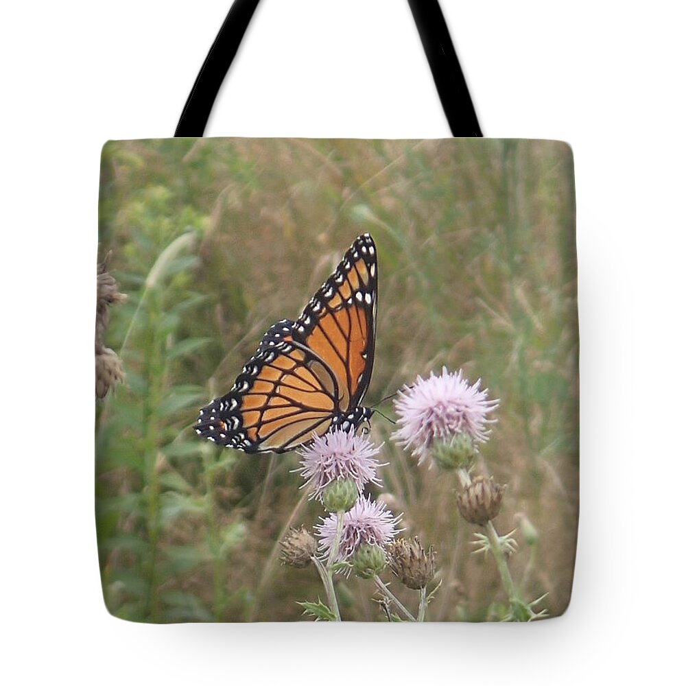 Viceroy Tote Bag featuring the photograph Viceroy on Thistle by Robert Nickologianis