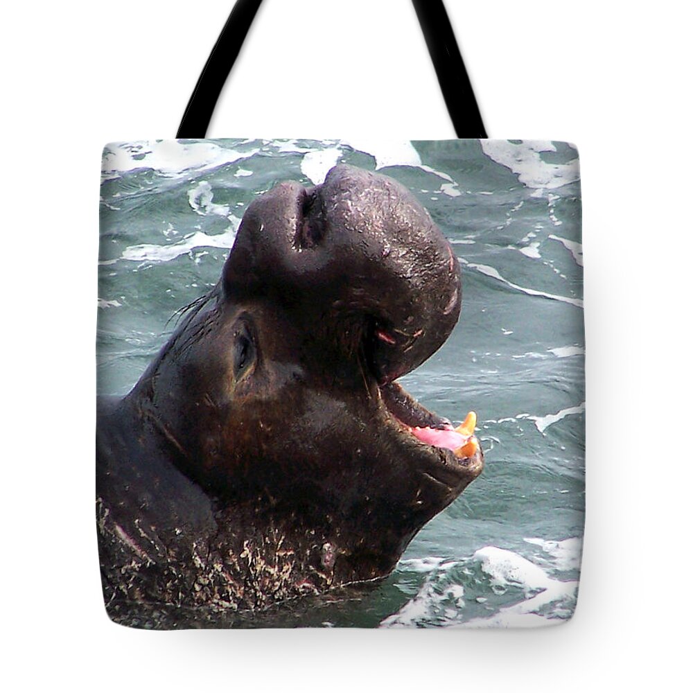 Victory Scream Tote Bag featuring the photograph Victory Scream by Jennifer Robin