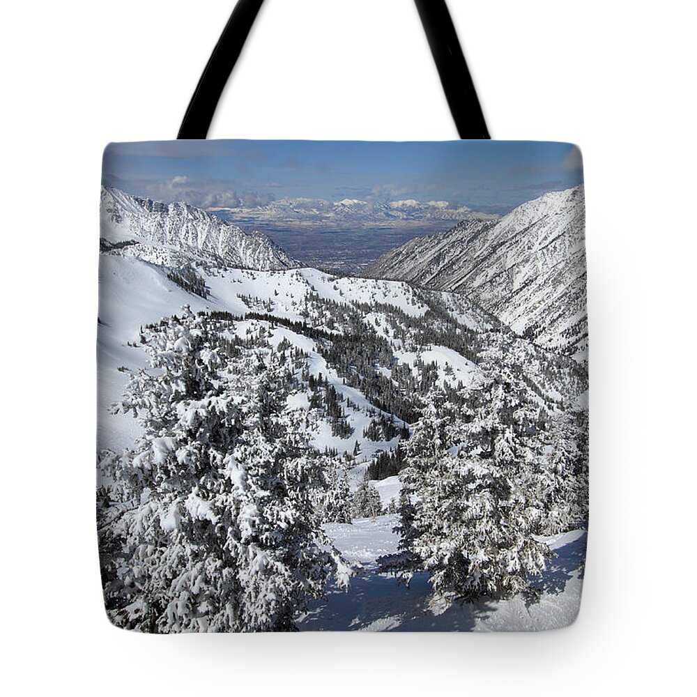 Landscape Tote Bag featuring the photograph View from Hidden Peak by Brett Pelletier
