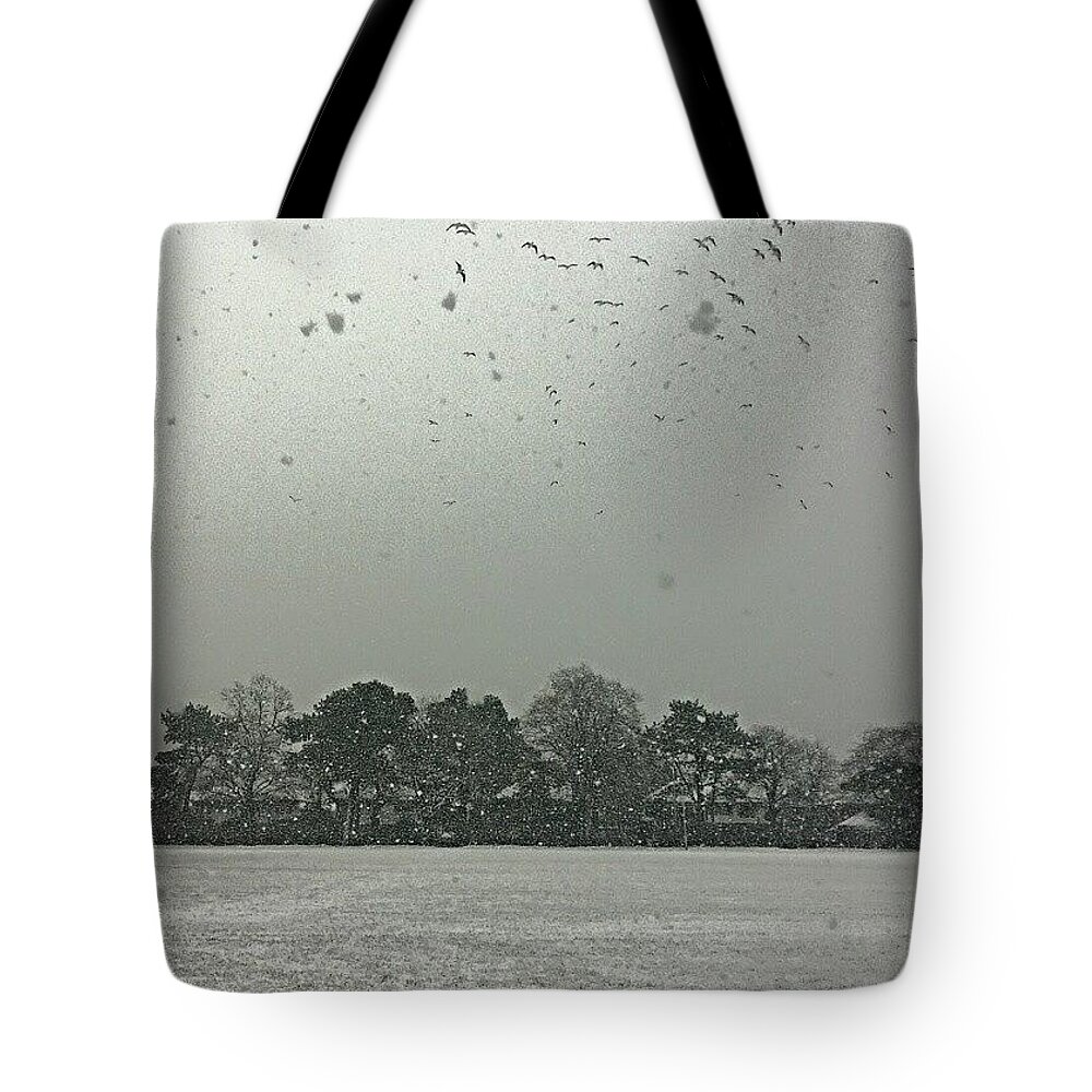 Birds Tote Bag featuring the photograph View From My Home Right Now. Seagulls by Abbie Shores
