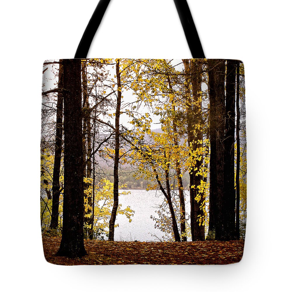 Glacier Park Tote Bag featuring the photograph View of Lake McDonald by Susan Kinney